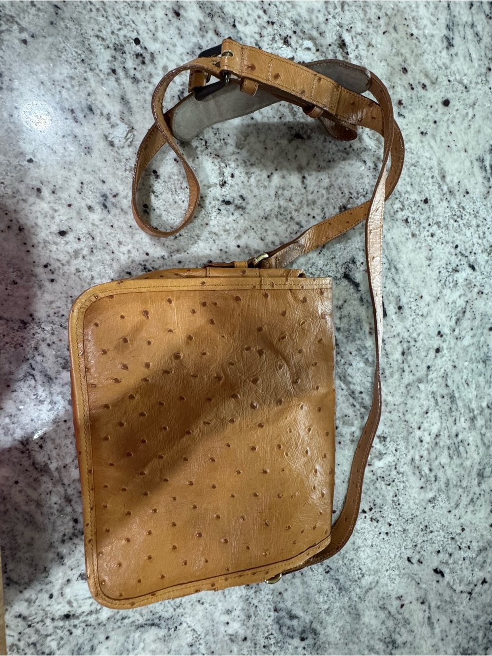 Joan & David Tan Ostrich-Embossed Crossbody